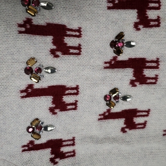 J crew wool lama and beaded sweater, chunky knit, crew neck, holiday, women's XS - Picture 5 of 7